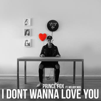 Prince Fox New Single I Don't Wanna Love You