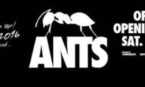 ANTS to return to Ushuaïa Ibiza Beach Hotel Ibiza 2016