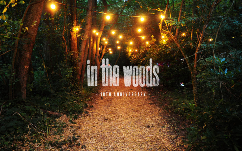 In The Woods Festival celebrating its 10th anniversary