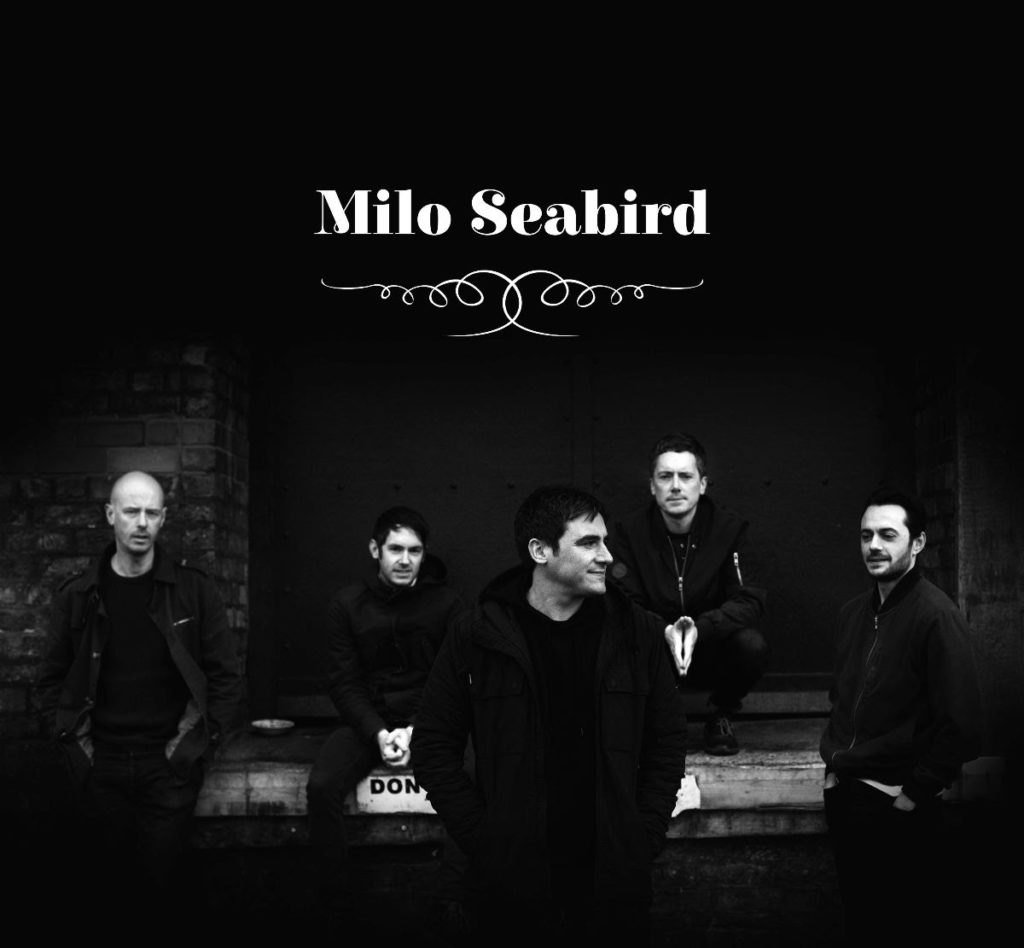 Milo Seabird 
