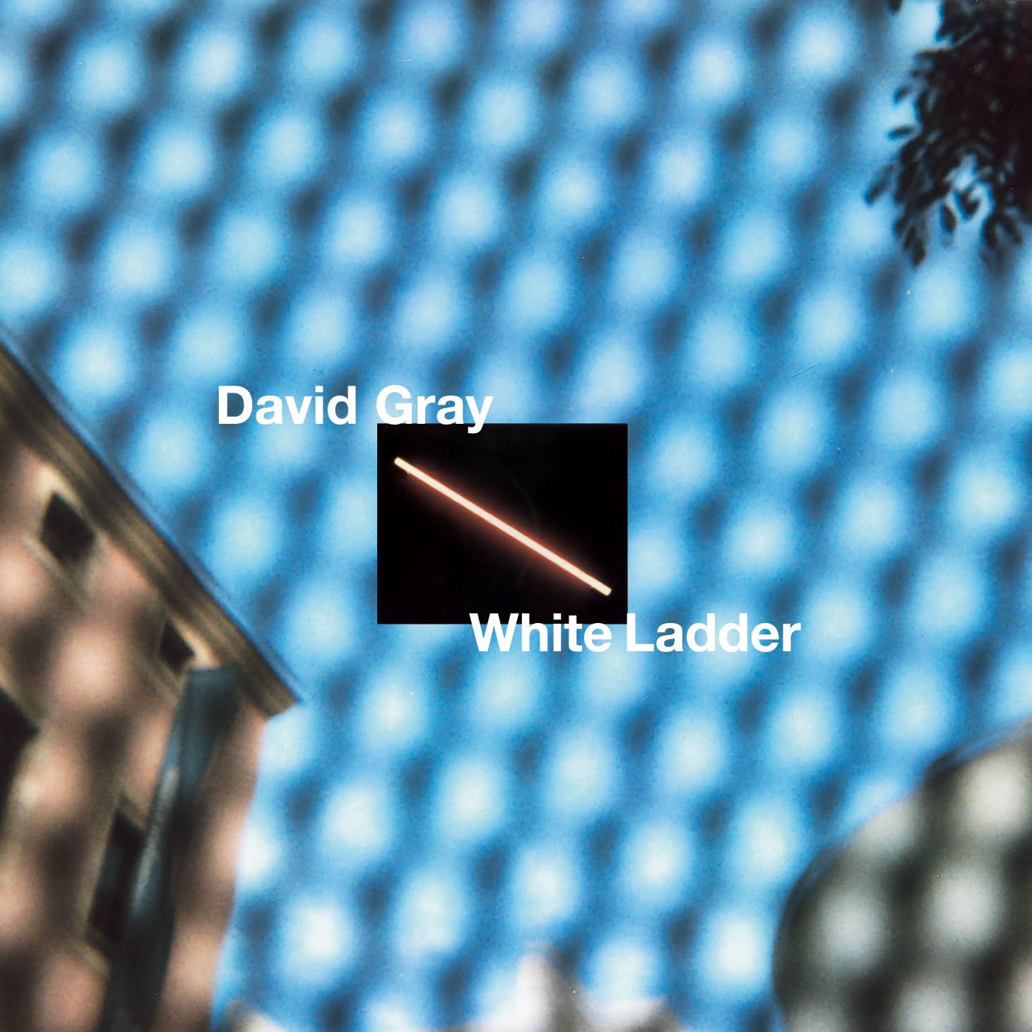 David Gray White Ladder album cover