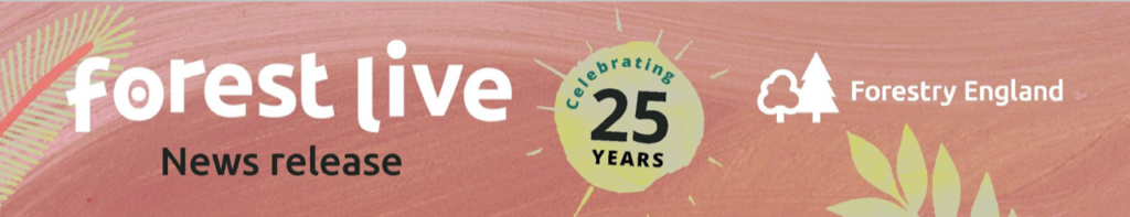 forest live 25 years banner