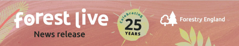 forest live 25 years banner