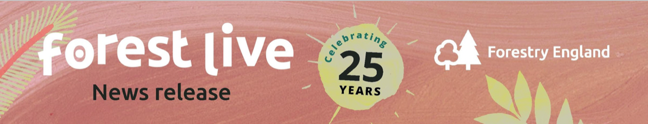 forest live 25 years banner