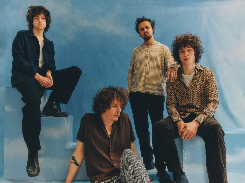 Mystery jets